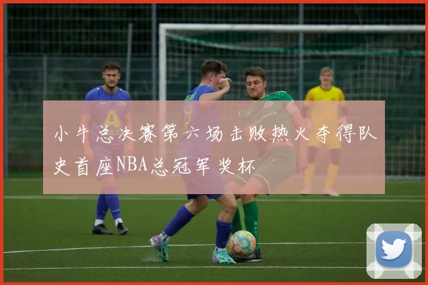 小牛总决赛第六场击败热火夺得队史首座NBA总冠军奖杯