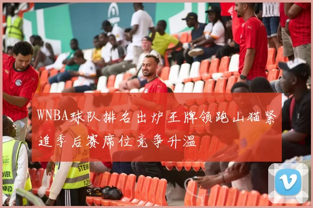 WNBA球队排名出炉王牌领跑山猫紧追季后赛席位竞争升温