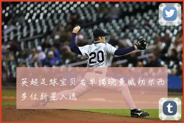 英超足球宝贝名单揭晓曼城切尔西多位新星入选